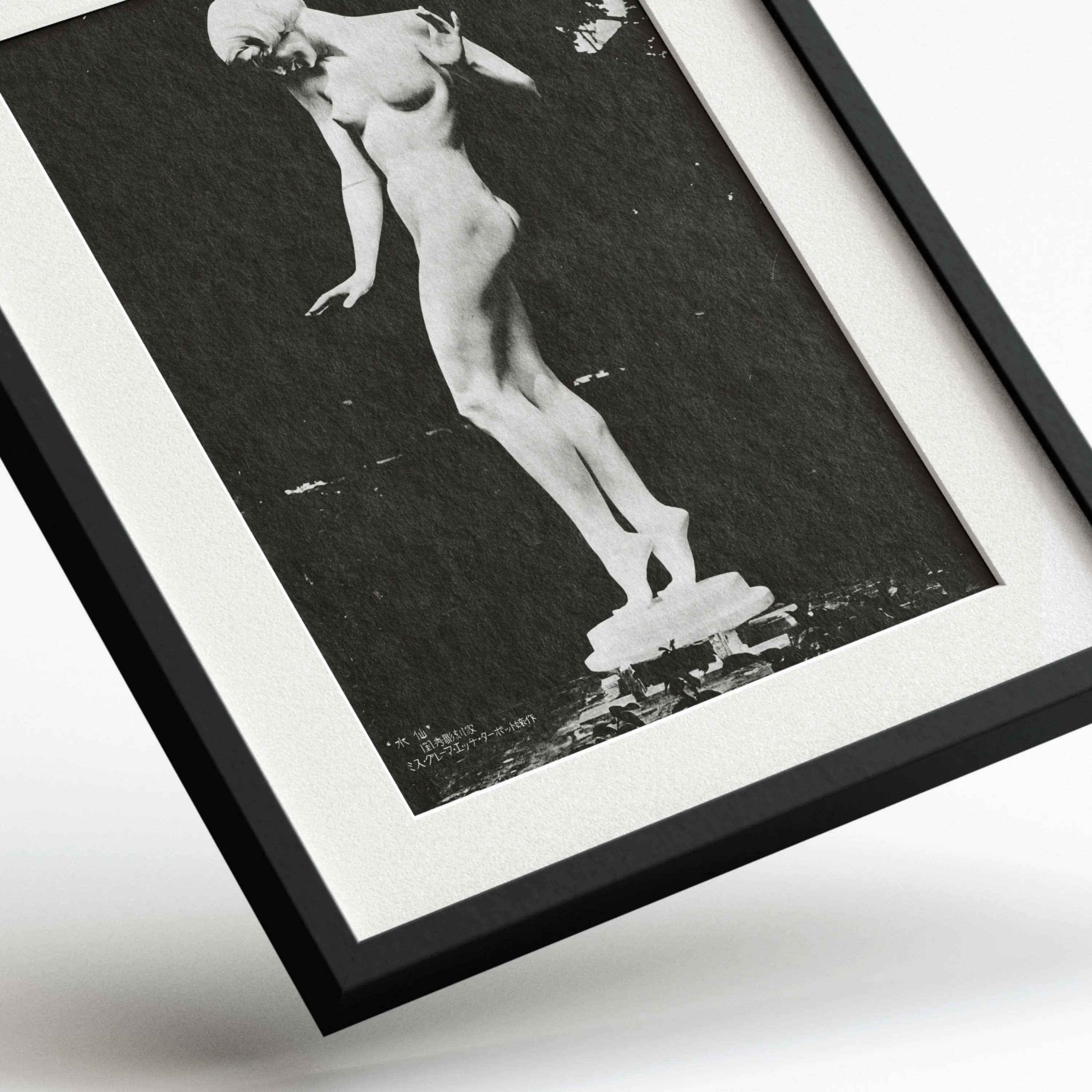 Daffodil by Graeme H. Turbot — framed preview