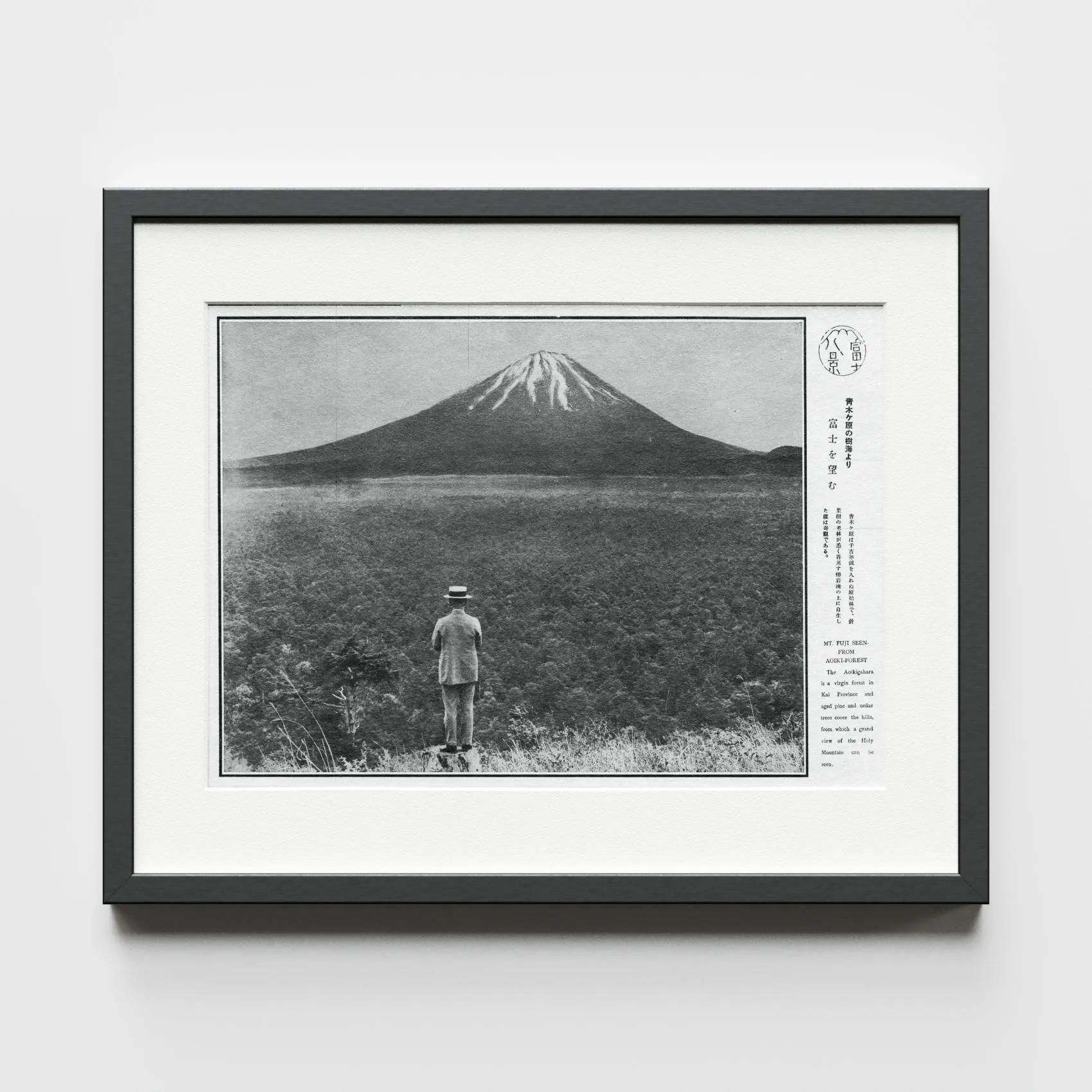Mt. Fuji from Aokigahara Forest — audio guide