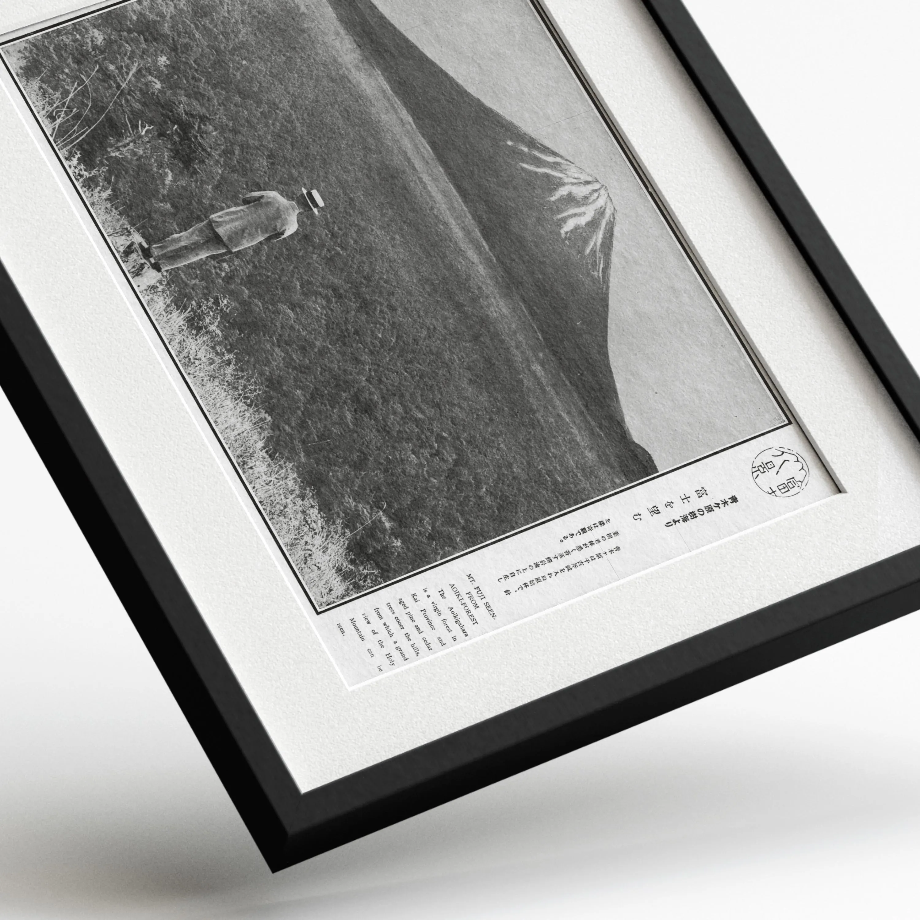 Mt. Fuji from Aokigahara Forest — framed preview