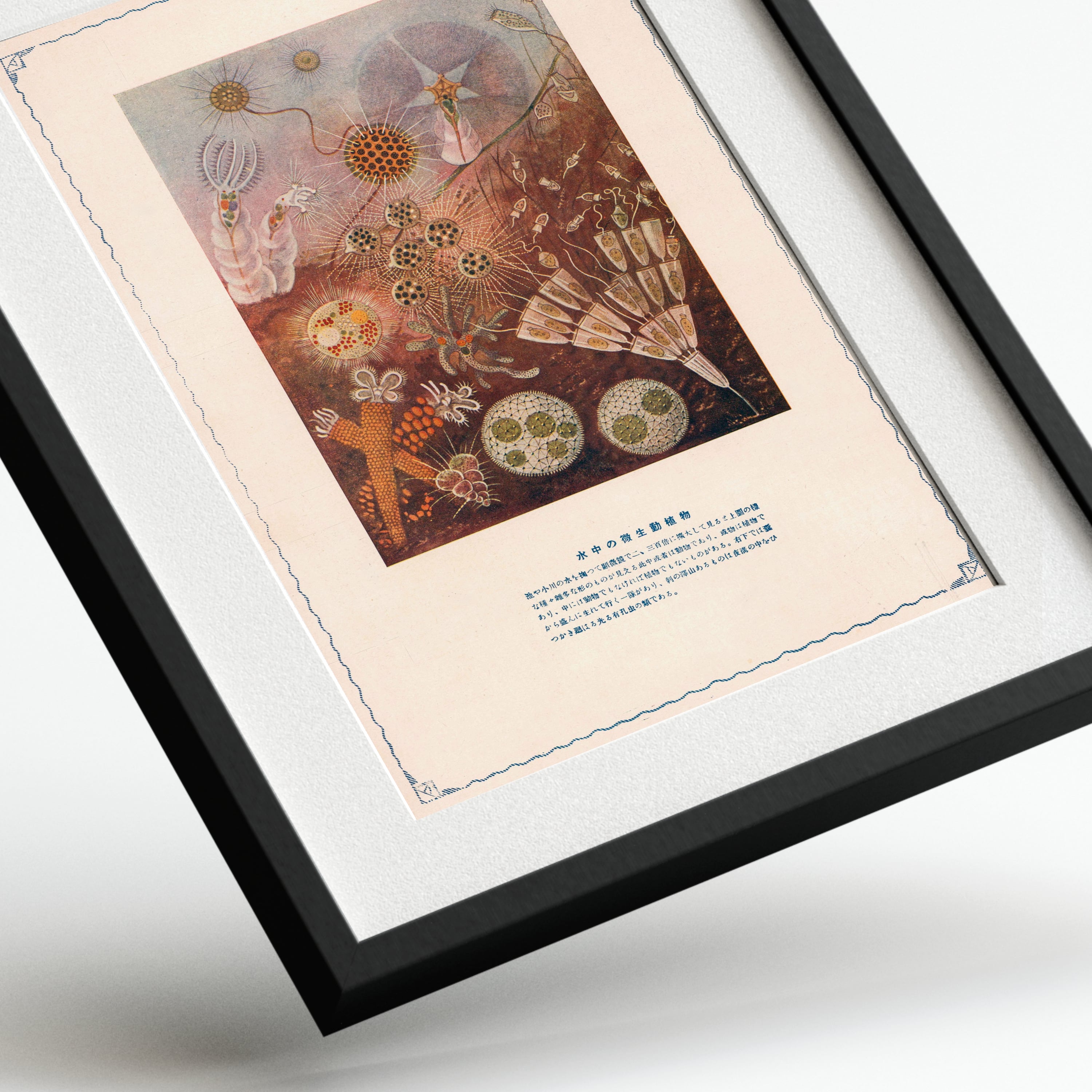 Vintage Scientific Illustration of Microscopic Life — framed preview